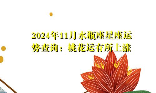 2024年11月水瓶座星座运势查询：桃花运有所上涨