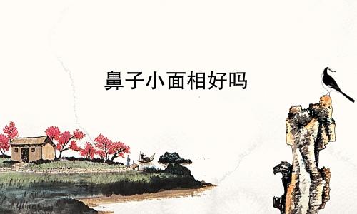 鼻子小面相好吗