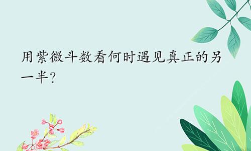 用紫微斗数看何时遇见真正的另一半？