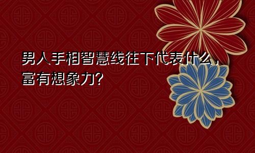 男人手相智慧线往下代表什么，富有想象力？