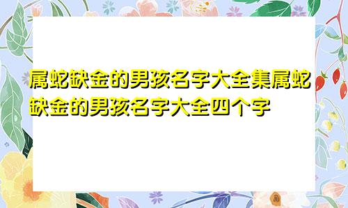 属蛇缺金的男孩名字大全集属蛇缺金的男孩名字大全四个字