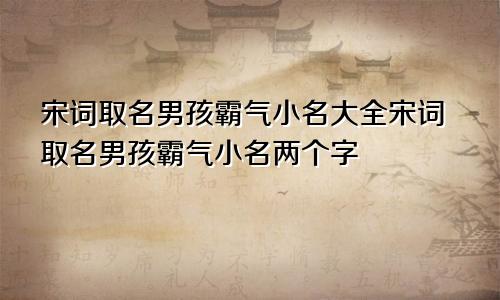 宋词取名男孩霸气小名大全宋词取名男孩霸气小名两个字