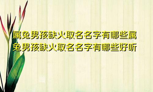 属兔男孩缺火取名名字有哪些属兔男孩缺火取名名字有哪些好听