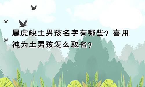 属虎缺土男孩名字有哪些？喜用神为土男孩怎么取名？