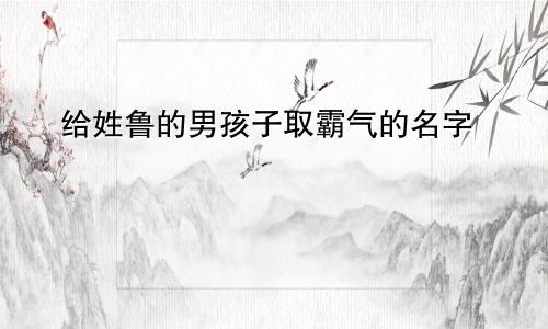 给姓鲁的男孩子取霸气的名字