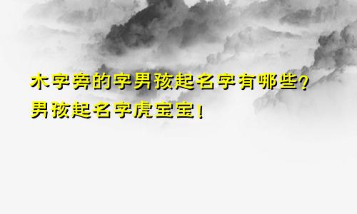 木字旁的字男孩起名字有哪些？男孩起名字虎宝宝！