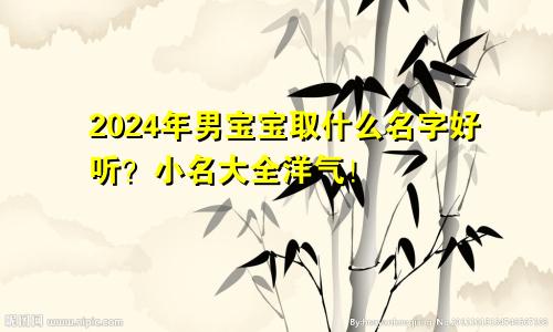 2024年男宝宝取什么名字好听？小名大全洋气！