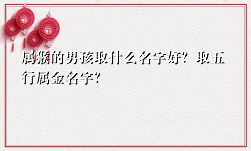 属猴的男孩取什么名字好？取五行属金名字？