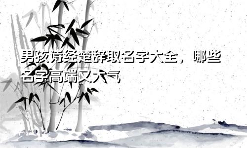 男孩诗经楚辞取名字大全，哪些名字高端又大气