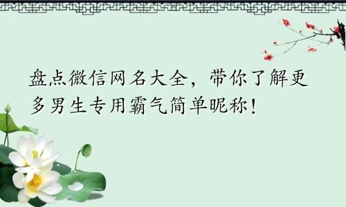 盘点微信网名大全，带你了解更多男生专用霸气简单昵称！