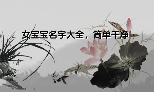 女宝宝名字大全，简单干净