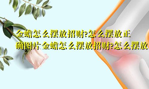 金蟾怎么摆放招财?怎么摆放正确图片金蟾怎么摆放招财?怎么摆放正确的