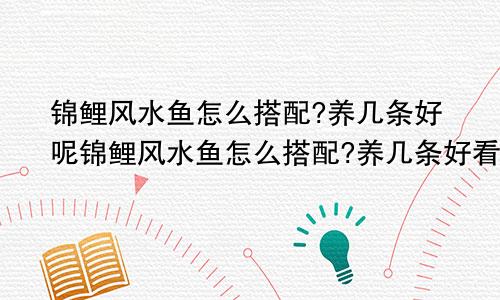 锦鲤风水鱼怎么搭配?养几条好呢锦鲤风水鱼怎么搭配?养几条好看