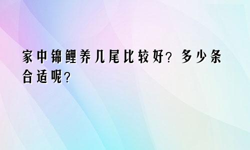 家中锦鲤养几尾比较好？多少条合适呢？