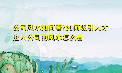 公司风水如何看?如何吸引人才进入公司的风水怎么看