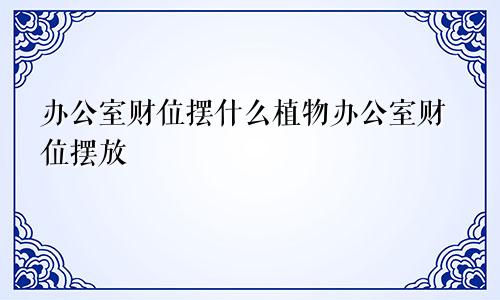 办公室财位摆什么植物办公室财位摆放