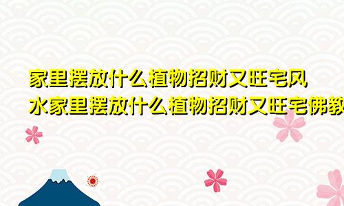 家里摆放什么植物招财又旺宅风水家里摆放什么植物招财又旺宅佛教