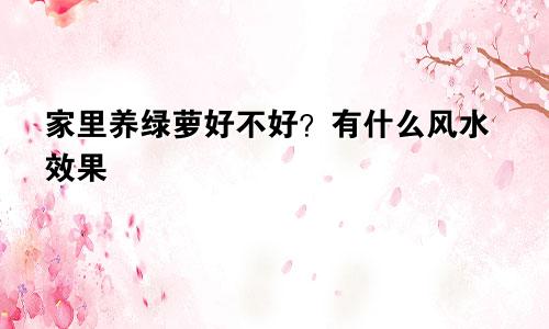 家里养绿萝好不好？有什么风水效果