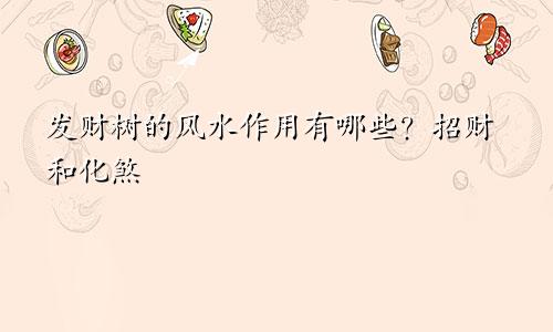 发财树的风水作用有哪些？招财和化煞