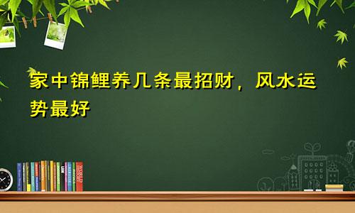 家中锦鲤养几条最招财，风水运势最好