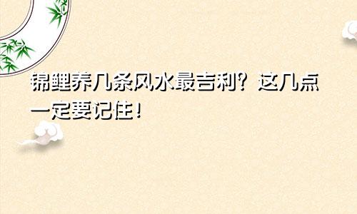 锦鲤养几条风水最吉利？这几点一定要记住！