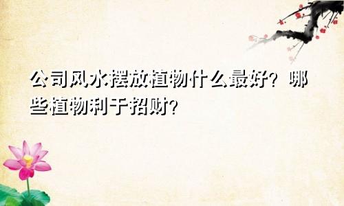 公司风水摆放植物什么最好？哪些植物利于招财？