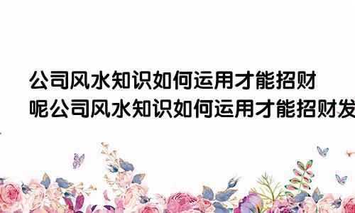 公司风水知识如何运用才能招财呢公司风水知识如何运用才能招财发财