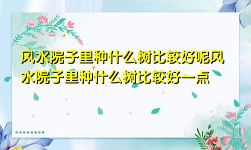 风水院子里种什么树比较好呢风水院子里种什么树比较好一点