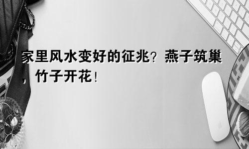 家里风水变好的征兆？燕子筑巢，竹子开花！