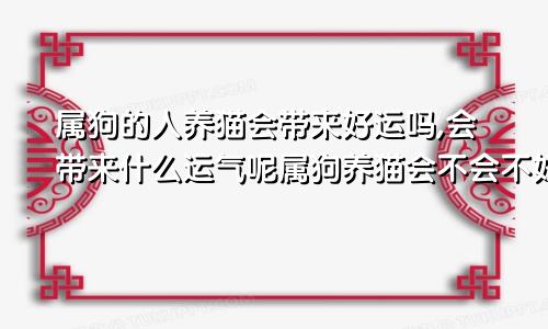 属狗的人养猫会带来好运吗,会带来什么运气呢属狗养猫会不会不好