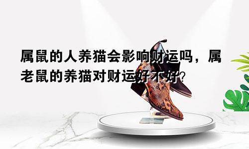 属鼠的人养猫会影响财运吗，属老鼠的养猫对财运好不好？