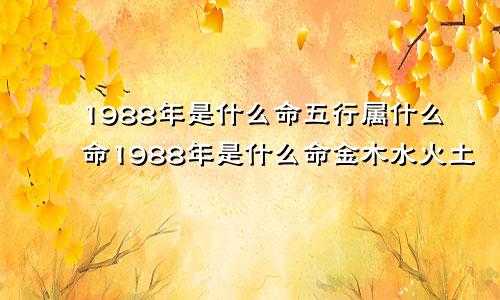 1988年是什么命五行属什么命1988年是什么命金木水火土