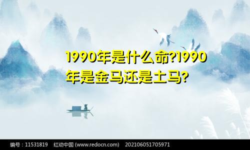 1990年是什么命?1990年是金马还是土马?