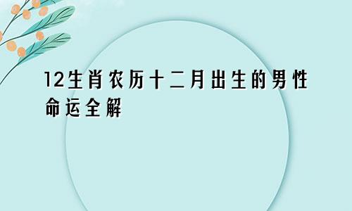 12生肖农历十二月出生的男性命运全解