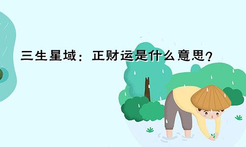 三生星域：正财运是什么意思？