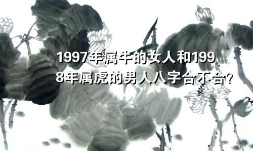 1997年属牛的女人和1998年属虎的男人八字合不合？