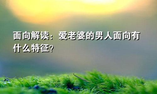 面向解读：爱老婆的男人面向有什么特征？