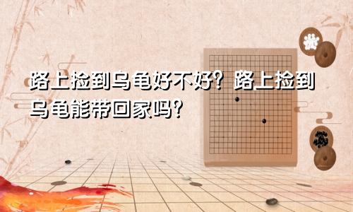 路上捡到乌龟好不好？路上捡到乌龟能带回家吗？