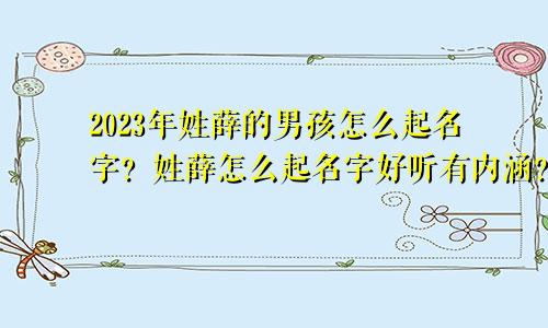 2023年姓薛的男孩怎么起名字？姓薛怎么起名字好听有内涵？