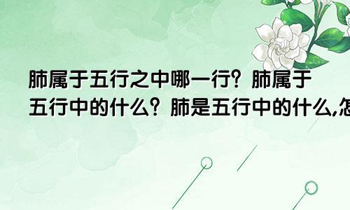 肺属于五行之中哪一行？肺属于五行中的什么？肺是五行中的什么,怎么治？