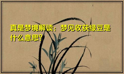 真是梦境解读：梦见收获绿豆是什么意思？