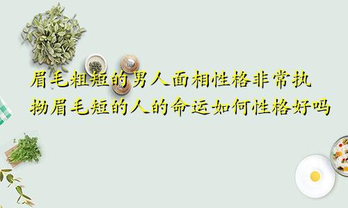 眉毛粗短的男人面相性格非常执拗眉毛短的人的命运如何性格好吗