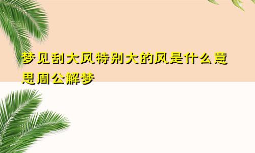 梦见刮大风特别大的风是什么意思周公解梦