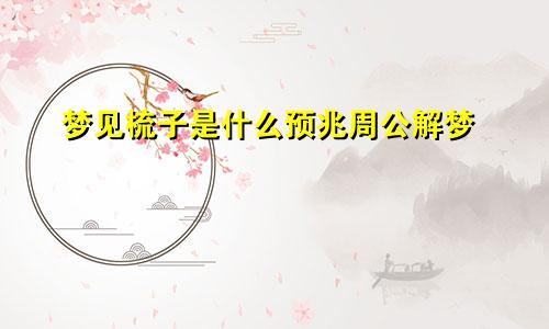 梦见梳子是什么预兆周公解梦