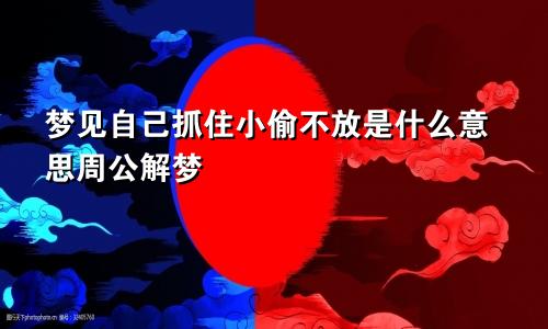 梦见自己抓住小偷不放是什么意思周公解梦