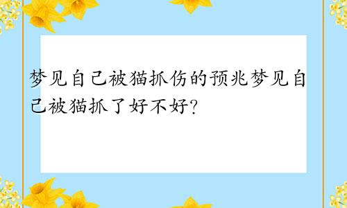 梦见自己被猫抓伤的预兆梦见自己被猫抓了好不好？