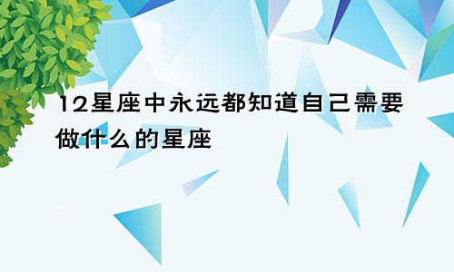 12星座中永远都知道自己需要做什么的星座