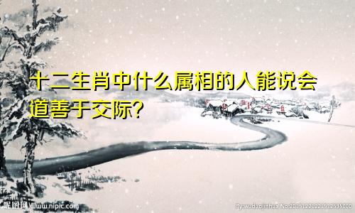 十二生肖中什么属相的人能说会道善于交际？