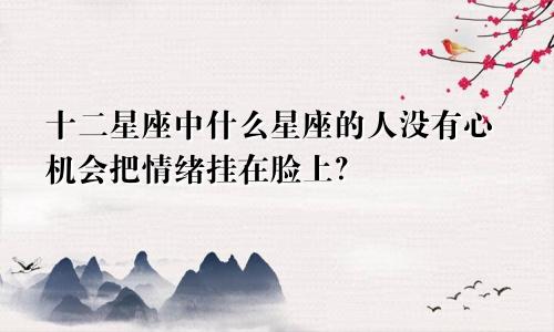 十二星座中什么星座的人没有心机会把情绪挂在脸上？