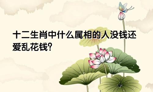 十二生肖中什么属相的人没钱还爱乱花钱？